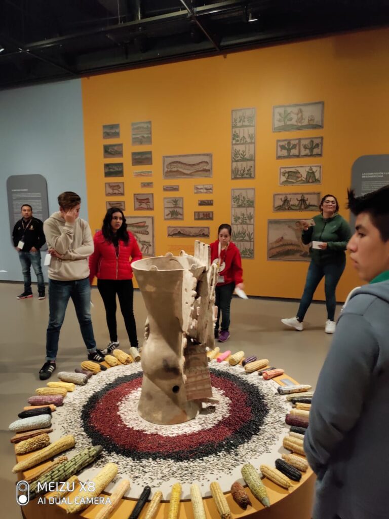 WhatsApp Image 2024-02-15 at 11.04